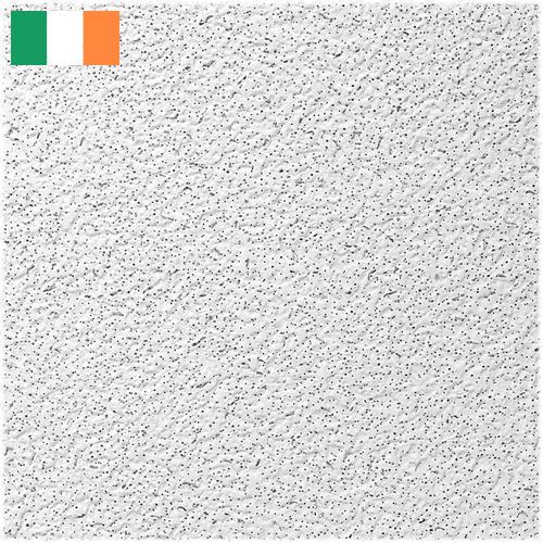 Панели потолочные из Ирландии