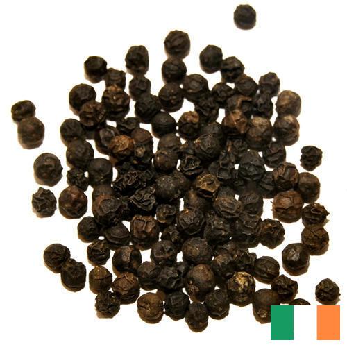Перец черный горошек из Ирландии