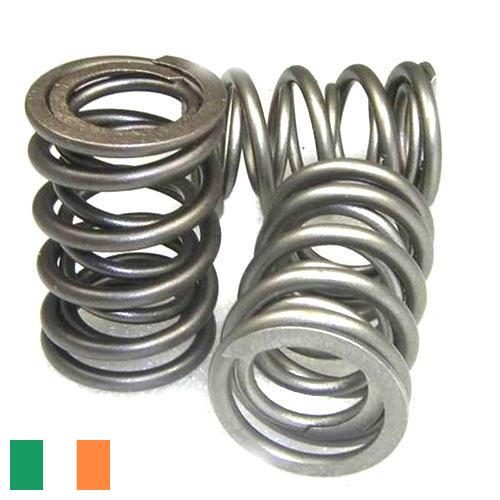 Пружина клапана из Ирландии