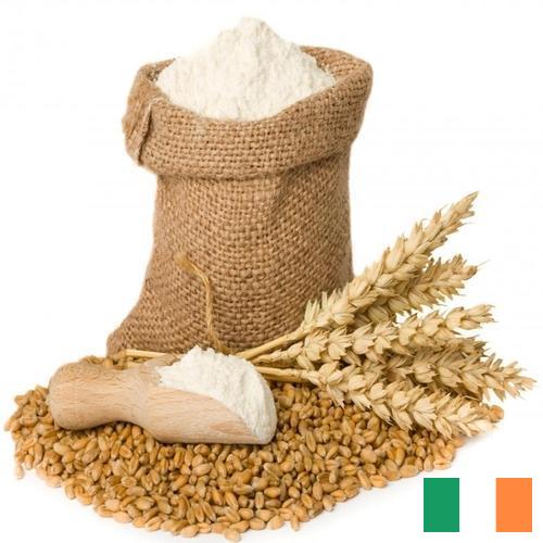 Пшеничная мука из Ирландии
