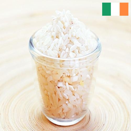 рис шлифованный из Ирландии