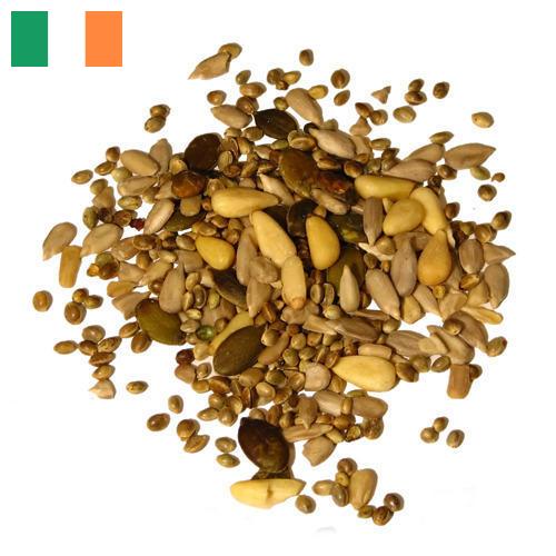 Семечки из Ирландии