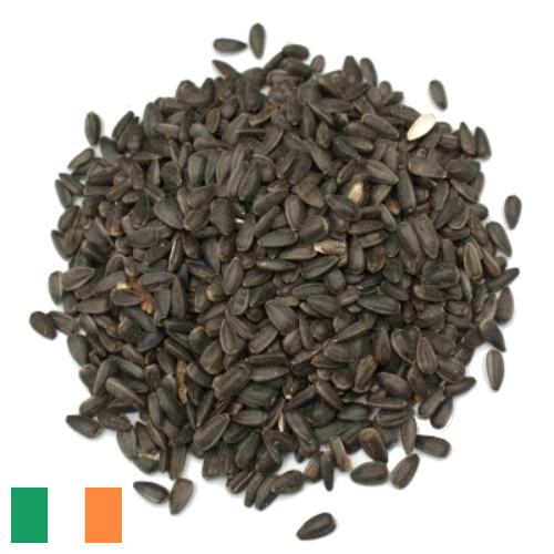 Семена цветов из Ирландии