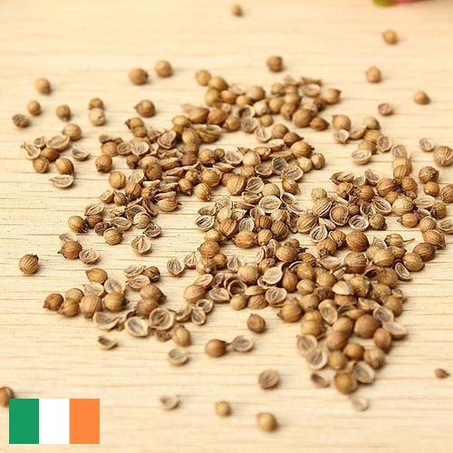 Семена овощей из Ирландии