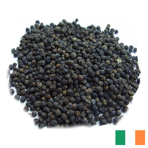 Семена перца из Ирландии