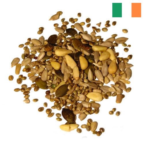 Семена из Ирландии
