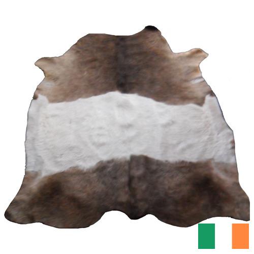 Шкуры крупного рогатого скота из Ирландии