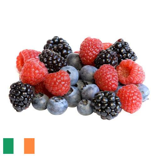 сублимированные ягоды из Ирландии