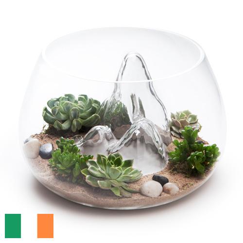 Террариумы из Ирландии