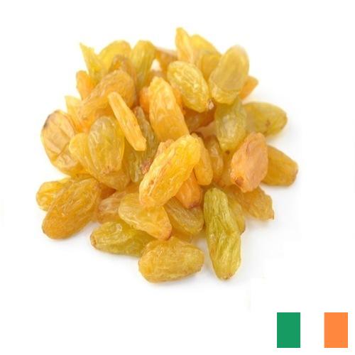 виноград сушеный из Ирландии