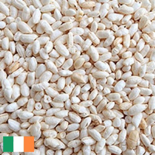 Воздушный рис из Ирландии