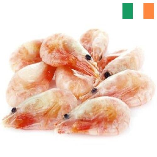 замороженные креветки из Ирландии