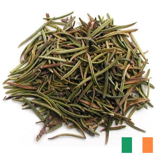 зелень сушеная из Ирландии