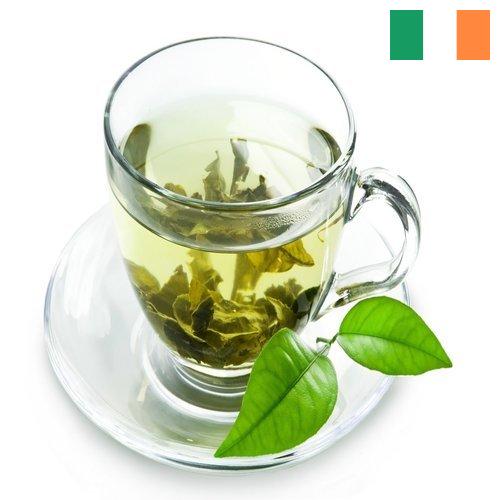 Зеленый чай из Ирландии