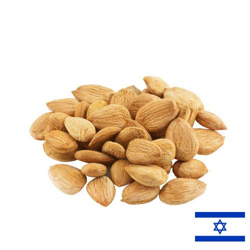 Абрикосовые косточки из Израиля