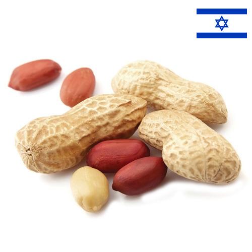арахис очищенный из Израиля