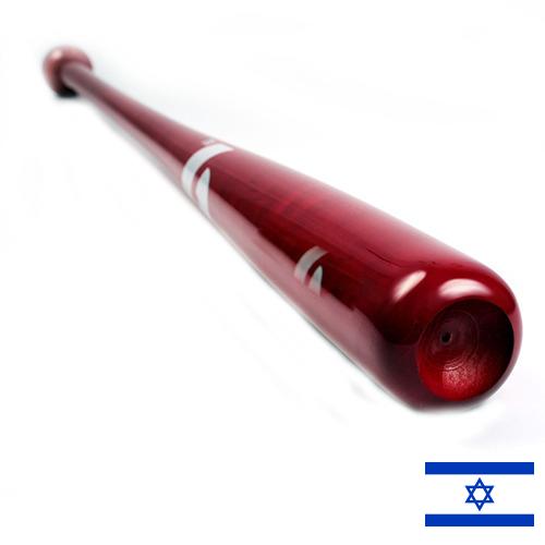 Бейсбольная бита из Израиля