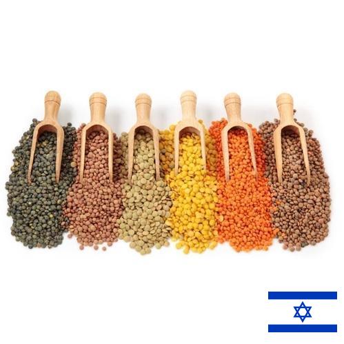 Бобовые культуры из Израиля
