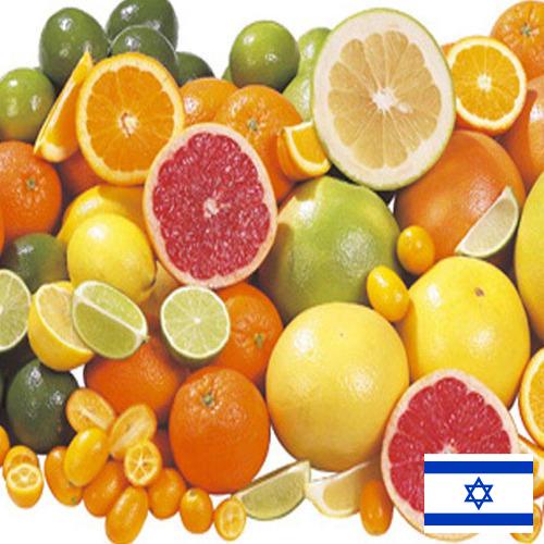 Цитрусовые фрукты из Израиля
