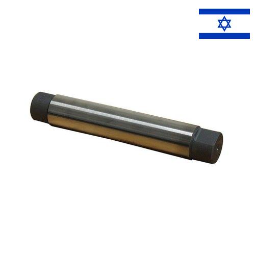 Дорн из Израиля