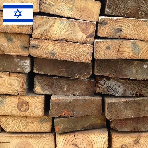 Древесина из Израиля