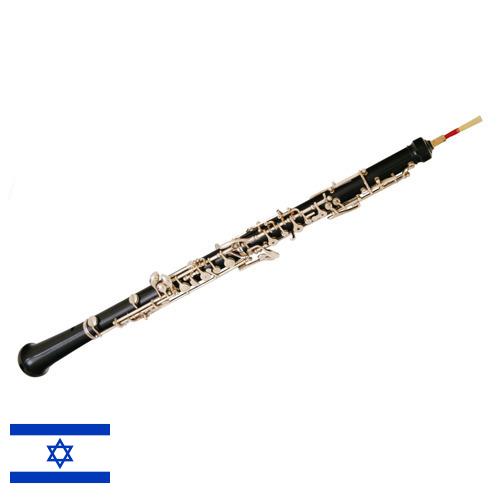 Духовые инструменты из Израиля