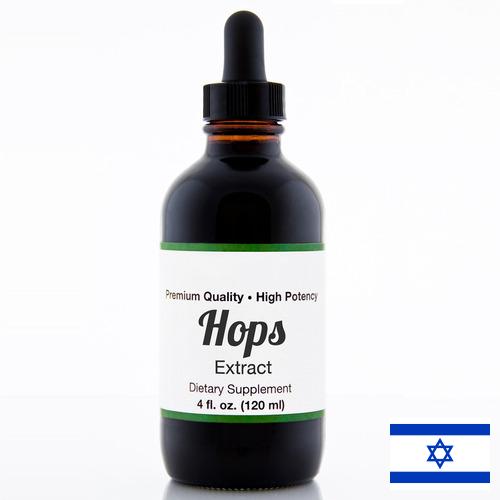экстракт хмеля из Израиля