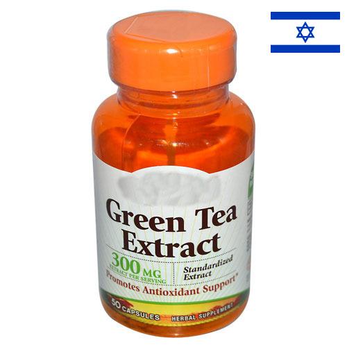 экстракт зеленого чая из Израиля