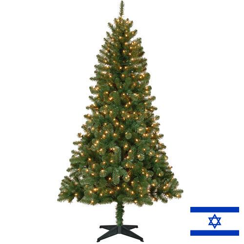 елки из Израиля