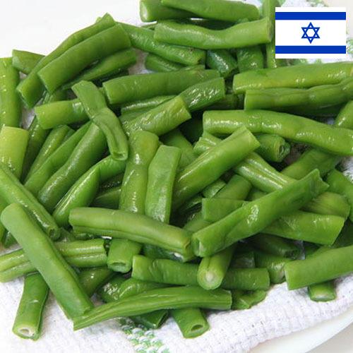 фасоль стручковая из Израиля