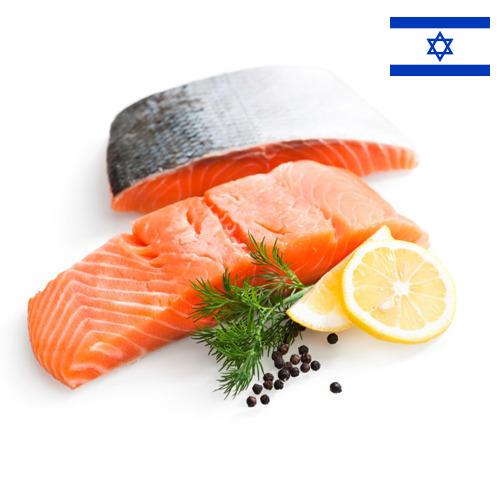 Филе рыбы из Израиля