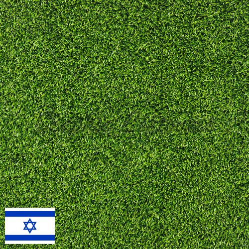 газон искусственный из Израиля