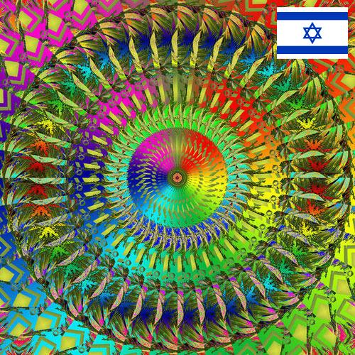 Голограммы из Израиля