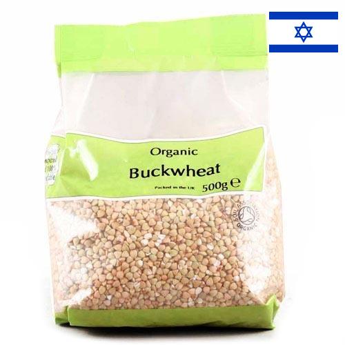 Гречневая крупа из Израиля