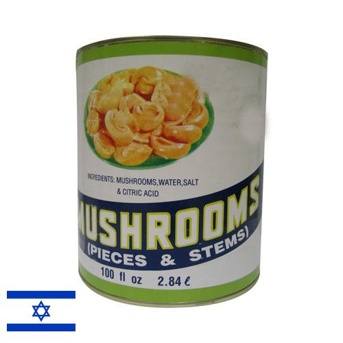 Грибы консервированные из Израиля