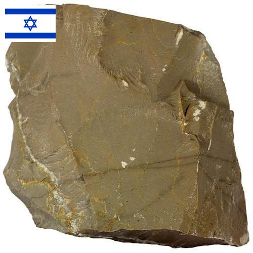 Известняк из Израиля