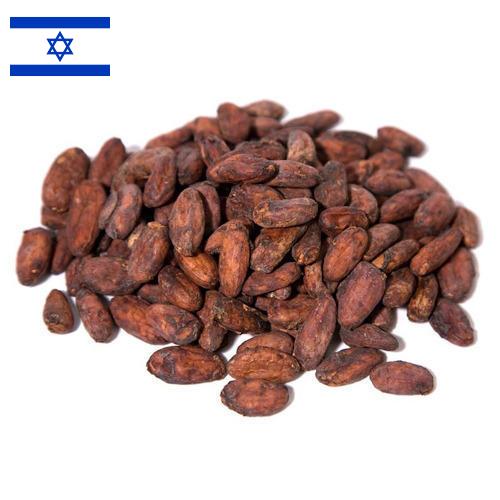 какао-бобы из Израиля