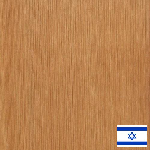 Кедр из Израиля