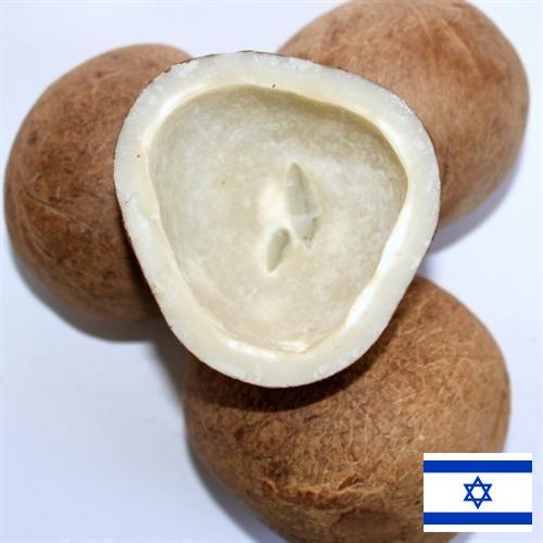 Кокос сушеный из Израиля