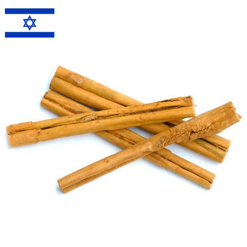 Корица из Израиля