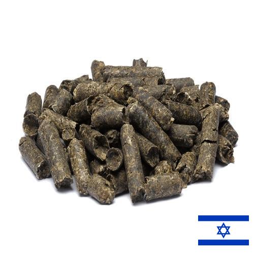 Корма для крупного рогатого скота из Израиля