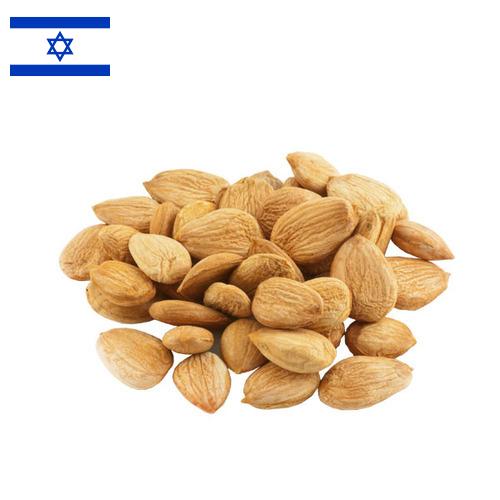 косточки абрикоса из Израиля