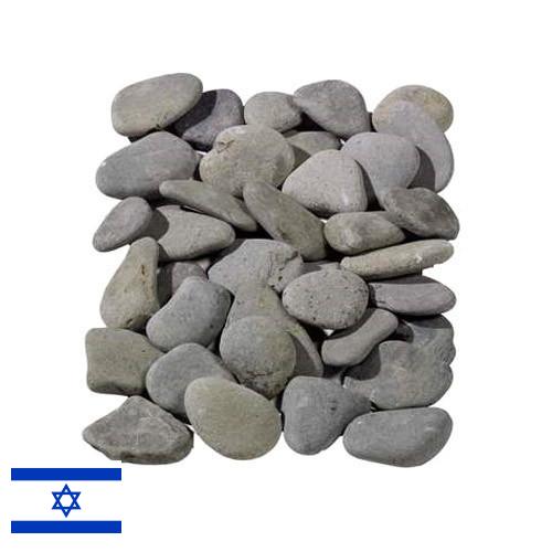 косточки из Израиля