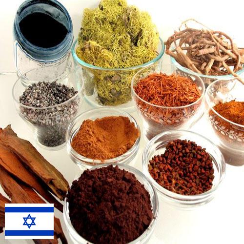 Красители натуральные из Израиля