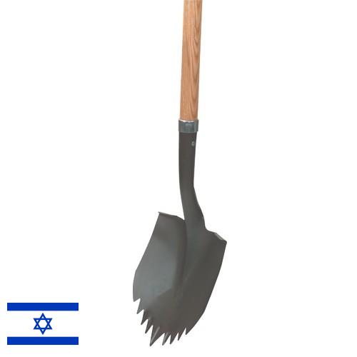 кросовки из Израиля