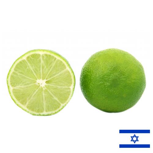 лайм из Израиля