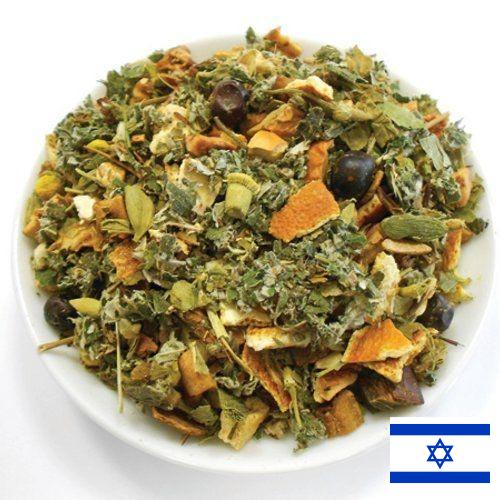 Лекарственные травы из Израиля