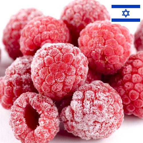 малина замороженная из Израиля