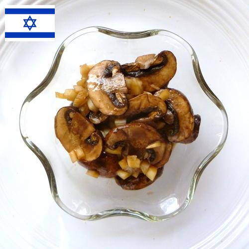 Маринованные грибы из Израиля