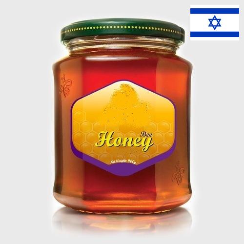 мед натуральный из Израиля